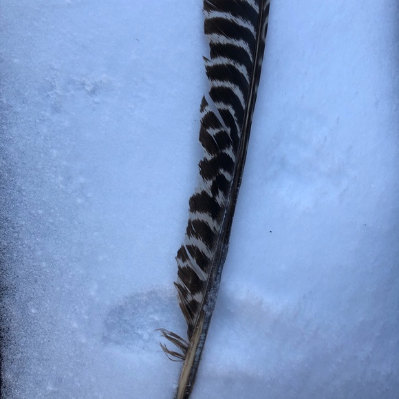 Meet your Posher, Michelle - Picture 1 of 1